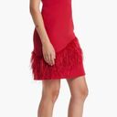 Sam Edelman Feather hem sheath Red Wine Dress NWT $158 Valentines Lady in red 6 Photo 6