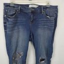 Torrid  Plus Size Boyfriend Straight Leg Distressed Destroyed Jeans Size 18R Photo 1