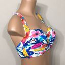 Bleu Rod Beattie  floral 34D+top/6-bottom. NWT Photo 8