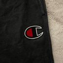 Champion Sweatpants Photo 1