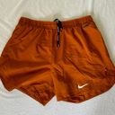 Nike Dri-Fit Shorts Photo 0