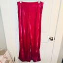 Aura  Still Bejeweled Hot Pink Velvet Wide Leg Pants Pleated L Photo 4