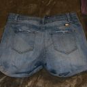 KanCan USA Blue Jean Shorts Photo 2