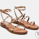 Steve Madden  Studded Sandal - Travel Tan Size 8.5 Photo 0