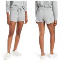 James Perse 💕💕 Drawstring Knit Shorts ~ Foil Grey 3 (fits like 8-10 US) NWT Photo 1