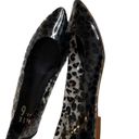 mix no. 6  Rima Leopard Clear Flat Pointed Barbiecore Mob Wife Photo 4