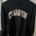 Champion Hoodie Photo 0