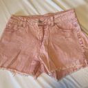 Time & Tru  Pink Denim Shorts Photo 0