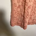 Adrianna Papell  Lace Front Sweatshirt Warm Blush Photo 5