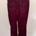 Tommy Hilfiger  Maroon Corduroy Bootcut Pants - Size 10 Photo 2