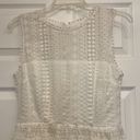 BB Dakota  Elissa Ivory Lace Fit and Flare Dress, NWT Photo 4