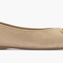 Birdies  Goldfinch Pointy Toe Ballet Flat Size 8 Photo 2