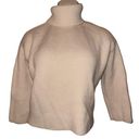 Tuckernuck  100% Wool Cream Thick Knit Turtleneck Size L Photo 0