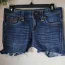 Rock Revival  Jessica Cut Off Denim Jean Shorts Size 28 Photo 0