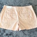 The Loft  Outlet Light Pink 4" Inseam Shorts Size 6 NWT Photo 6