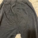 Aviator Nation five stripe charcoal sweatpants Photo 4