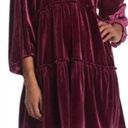 Betsey Johnson NWT  VELVET DRESS Photo 0