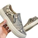 Steve Madden  Women's Glaammar Slip On Platform Sneaker In Snake - Gray, 7US Photo 0