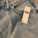 Pilcro NWT  x Anthropologie High Rise Pleated Denim Jean Shorts Size 28 Photo 4