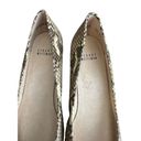 Stuart Weitzman  "Poco" 7.5 Mushroom Crystal Snake Leather Kitten Heel Pumps 56-3 Photo 5