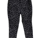 Style & Co  Petite SZ 16WP Curvy Skinny Jeans Leopard Print Mid-Rise Gray Black Photo 0