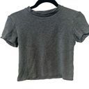 American Apparel  grey short sleeved cropped T shirt Photo 0