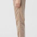 Petal CLOSED  Pushers Designer High Waisted Brown Straight Leg Minimalist Jeans Photo 2