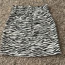 ZARA Zebra Print Mini Skirt Photo 1