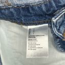 American Eagle  Overall Shorts Photo 5