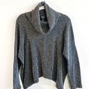 Clara Sunwoo Top Grey & Black Striped Boxy Ribbed Turtleneck Sz L GUC Size L Photo 0