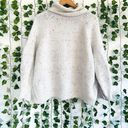 Lou & grey Multicolor Chunky Turtleneck Sweater Photo 1