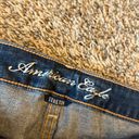 American Eagle  denim button fly shorts Photo 1