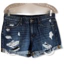 Articles of Society Jimmy Short Buffet Shorts Photo 1