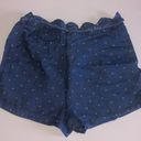 Alya Shorts Photo 2