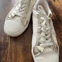 Vintage Havana est. 1964 | ladies Fresh Leather Sneaker.. Size: 6 Photo 0