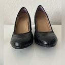 Naturalizer  Naomi Pump Black Croc Size 9.5 Photo 5