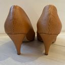 Cavalini Cavallini Made In Italy Women’s Shoes Sz 8 Leather Snake Skin Quiet Luxury Beige Photo 3