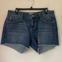 Dear John Madison Girlfriend cut off denim jean shorts women’s size 29 Photo 0