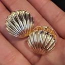 Boutique Gold Seashell Large Stud Earrings Photo 0