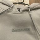 Alphalete Cropped Hoodie Photo 2