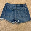 Gap Denim Shorts Photo 1