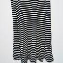 Brandy Melville Black White Abigail Striped Tank Dress Photo 2