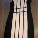 Calvin Klein Black And White Professional Dress Photo 5