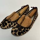 Gap  Women’s Leopard Print Ballet Flat Leather Animal Cheetah Calf Hide Shoes 7.5 Photo 1