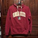 Stadium Athletics Florida state hoodie Photo 0