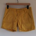 prAna  Tess Hiking Shorts Photo 1