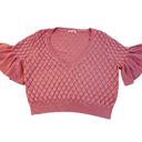 Tularosa Revolve  Pink V-Neck Crop top dusty rose flutter sleeve Sweater medium Photo 3