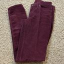 Patagonia  Women's Everyday Corduroy Pants Organic Size 28 / 6 burgundy red Photo 5