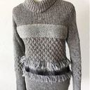 Banana Republic  Alpaca turtleneck tunic sweater Photo 0