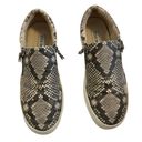 Steve Madden  Women's Glaammar Slip On Platform Sneaker In Snake - Gray, 7US Photo 2